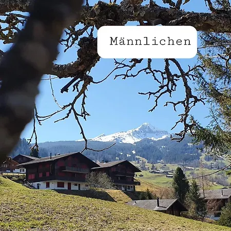 Appartement Lilalama *