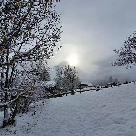 Lilalama Appartement Grindelwald