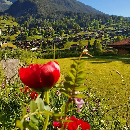 Lilalama Apartment Grindelwald