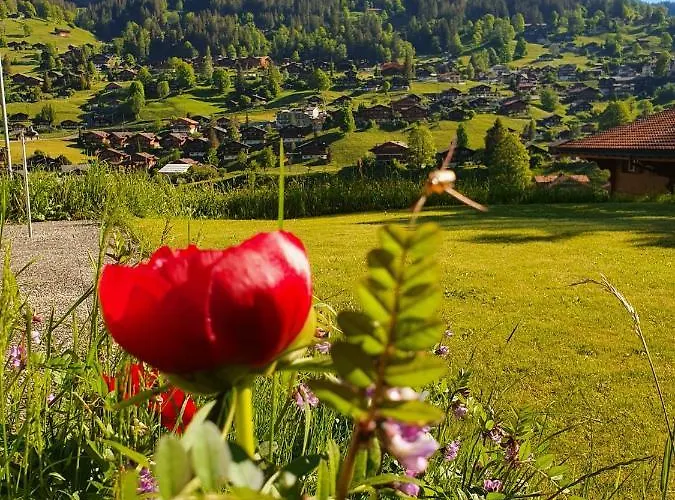 Lilalama Appartement Grindelwald